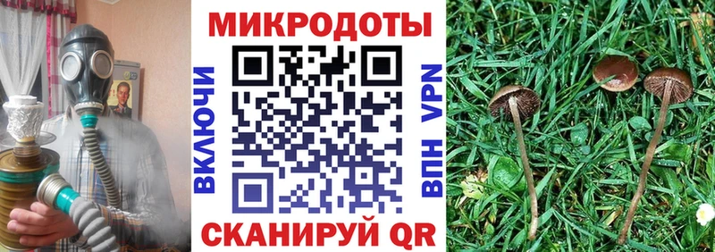 наркота  Монино  blacksprut вход  Псилоцибиновые грибы Cubensis 